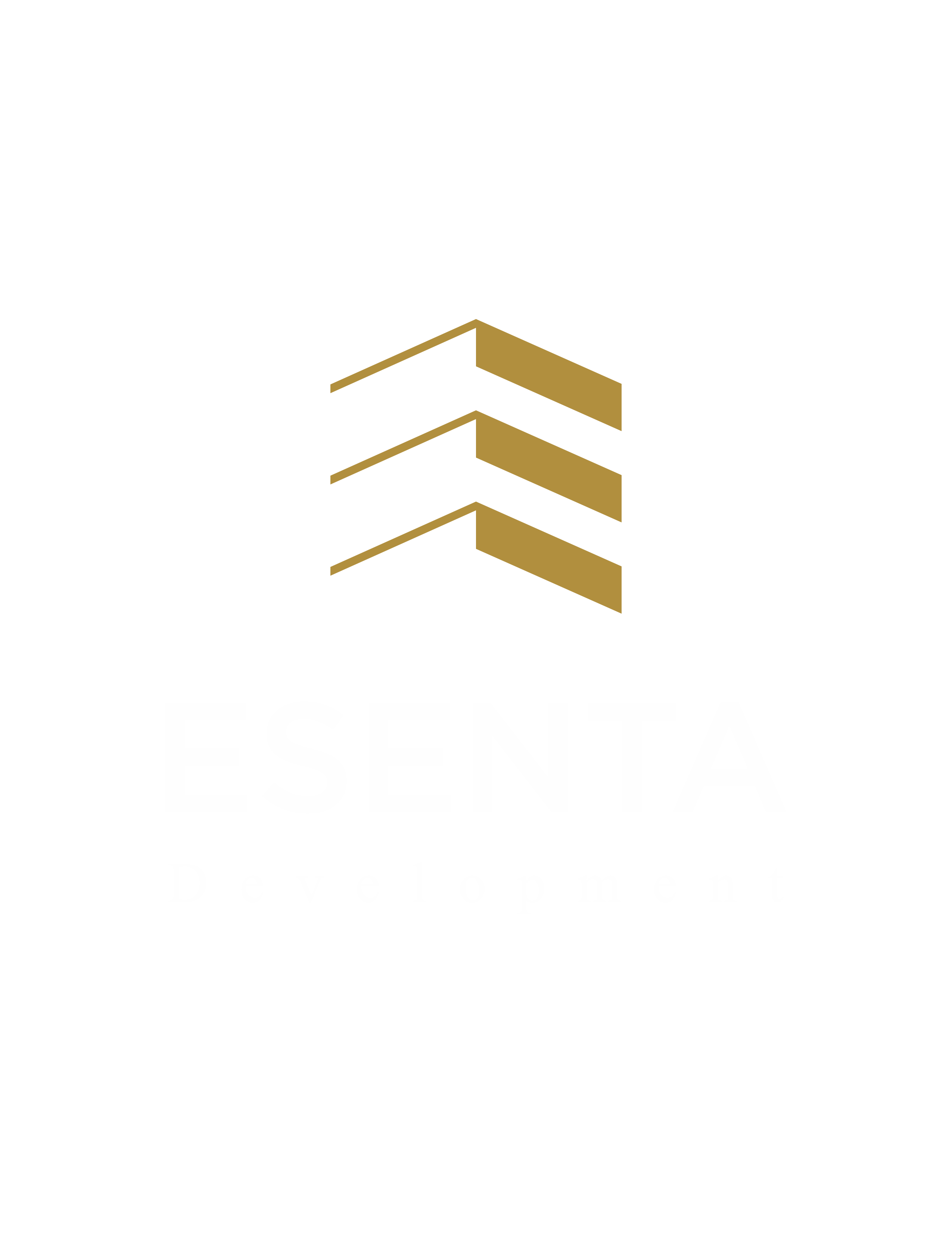 首页 1 esenta development logo